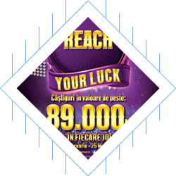 Reach Your Luck